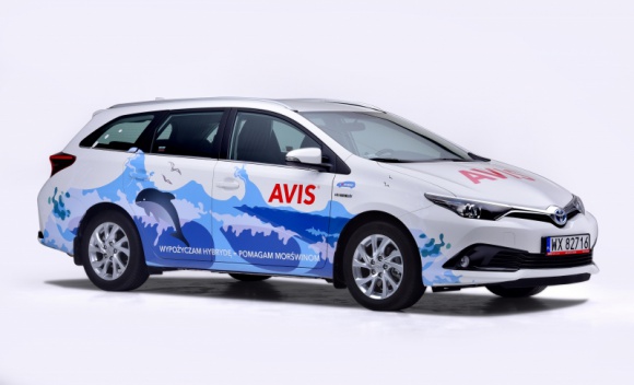 Hybrydy Toyoty z Avis wspierają bałtyckie morświny