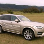 Volvo testuje w Australii system zapobiegający kolizjom z kangurami