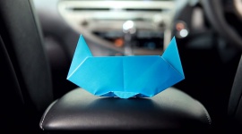 Złóż kota z papieru – w 90 sekund BIZNES, Motoryzacja - Półtorej minuty, kawałek papieru, używasz tylko jednej ręki – i tej dla Ciebie nie dominującej. Składasz origami. Kota. Zadanie wydaje się proste? Nic bardziej mylnego.